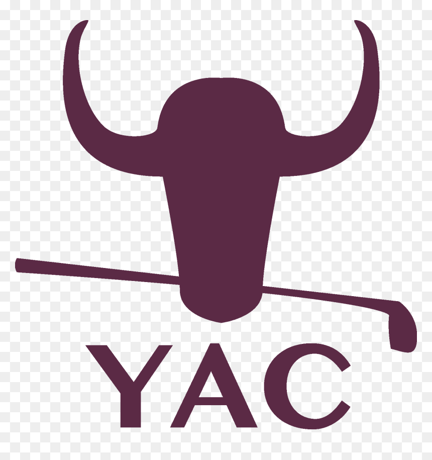 Clip Art, HD Png Download - bull head png