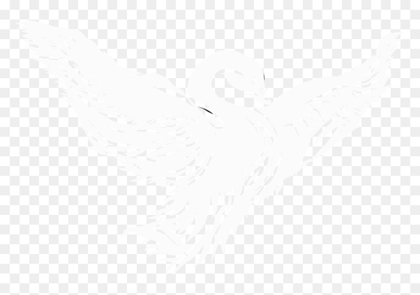 Media - Duck, HD Png Download - clickbait arrow png