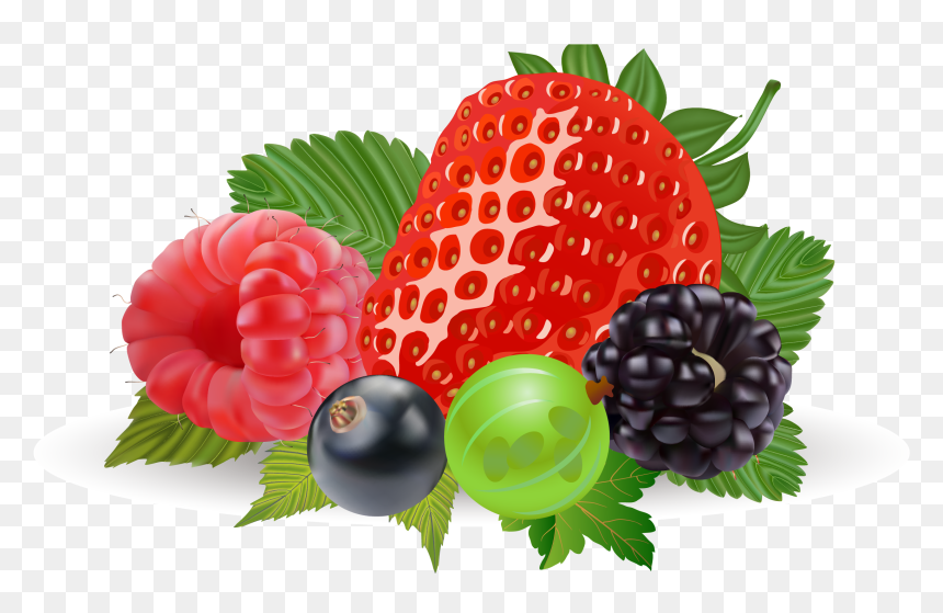 Strawberry Clipart Realistic - Berries Clipart, HD Png Download - berry png