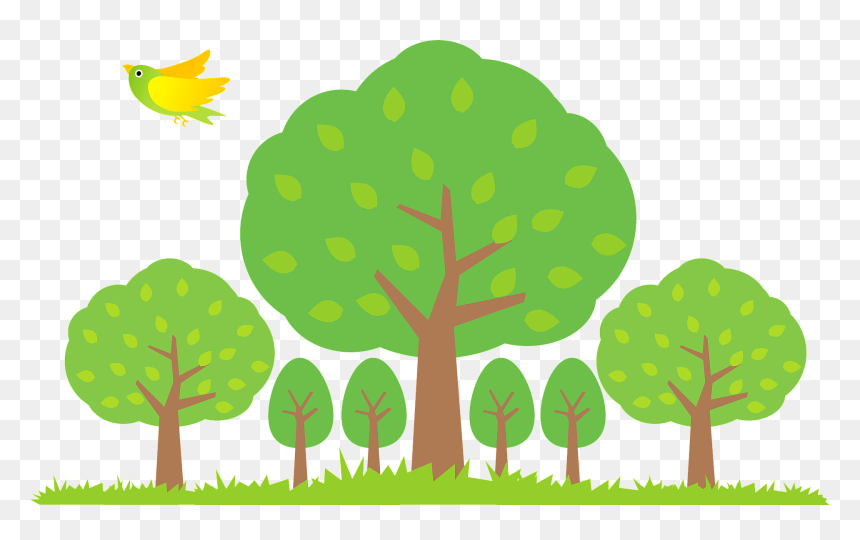 Trees Forest Bird Clipart - みどり の 日, HD Png Download - forest tree png
