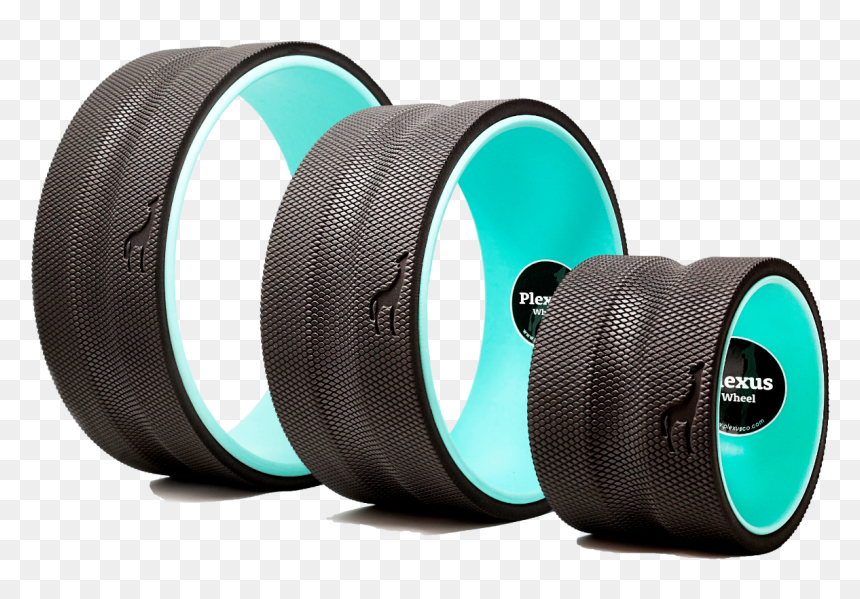 Thankfully, The Plexus Wheel Offers The Everyday "back - Plexus Wheel, HD Png Download - plexus png