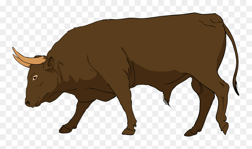 Bull Clipart, HD Png Download - bull head png
