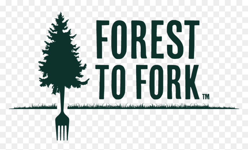 Wild Food Products And Mushrooms From The Woods & Water - White Pine, HD Png Download - forest tree png