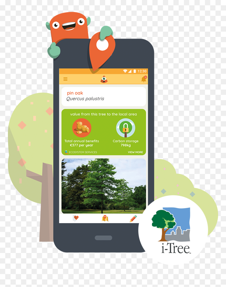 Smartphone, HD Png Download - forest tree png