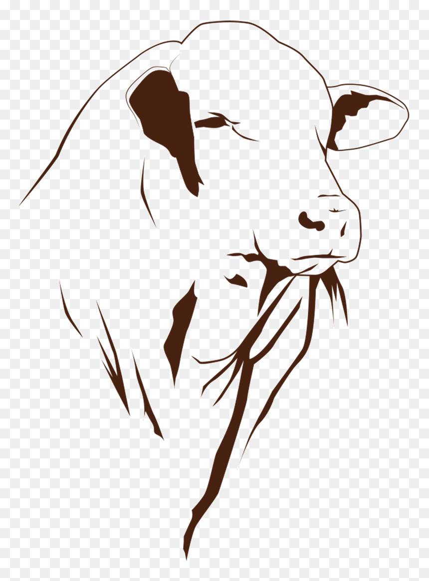 Illustration, HD Png Download - bull head png