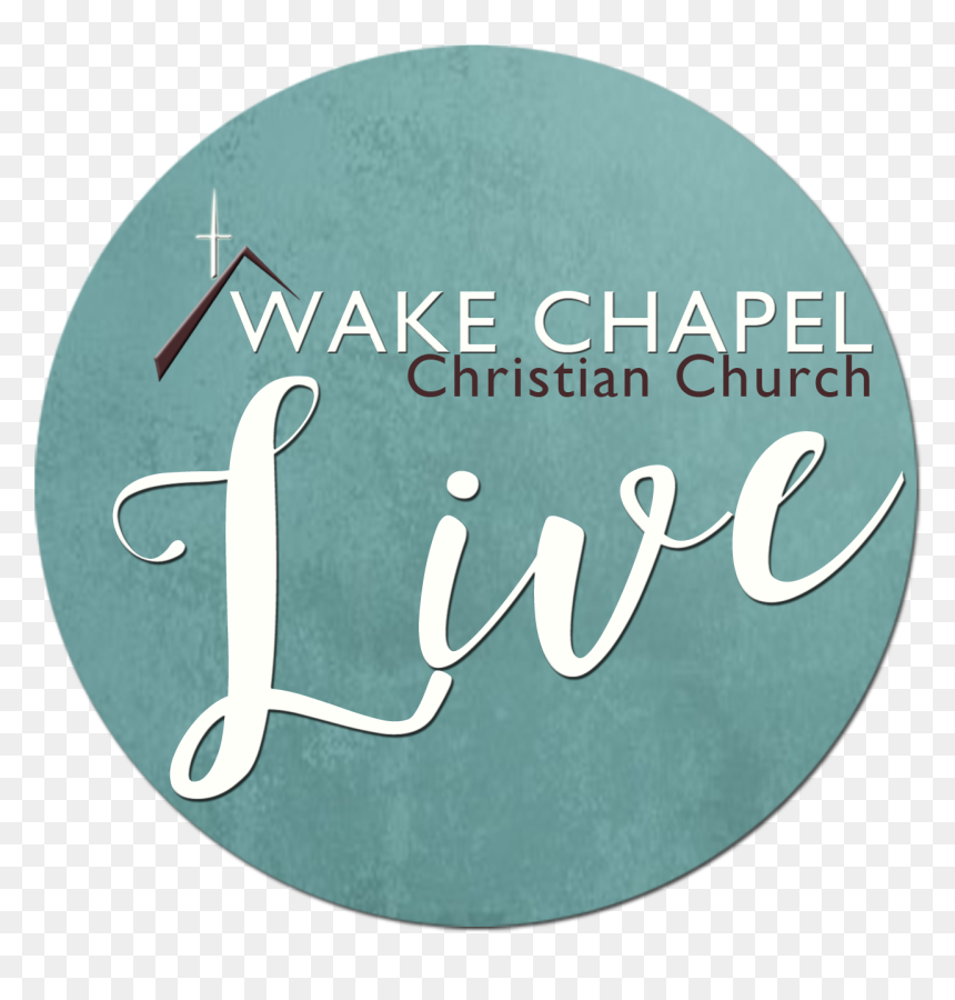 Calligraphy , Png Download - Calligraphy, Transparent Png - livestream png