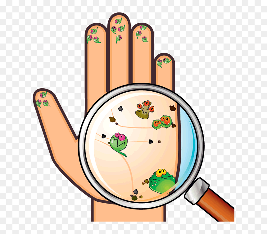 Lavado De Manos - Germs On Hands Clipart, HD Png Download - manos png