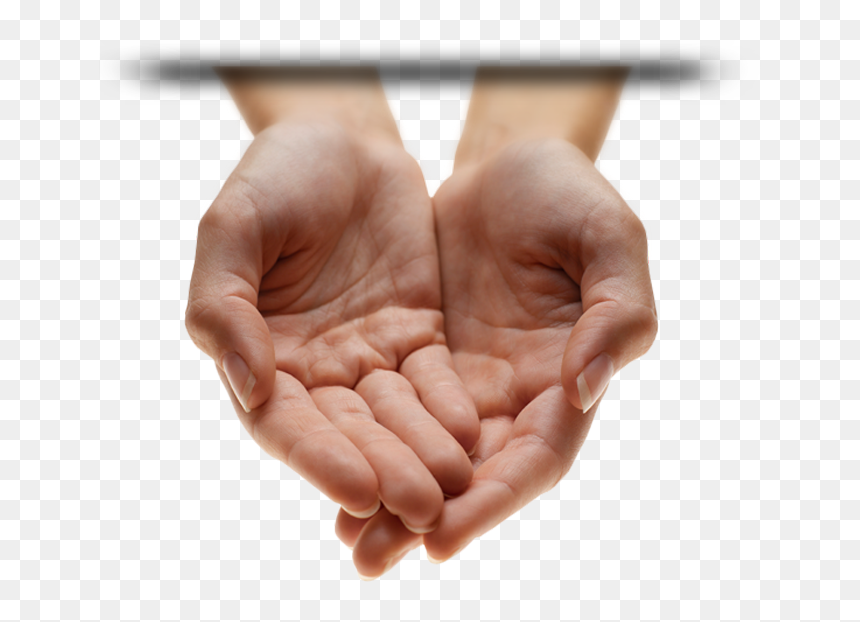 Para Cualquier Duda Relativa Al Secador De Manos Ffuusstm, - Cupped Palms, HD Png Download - manos png