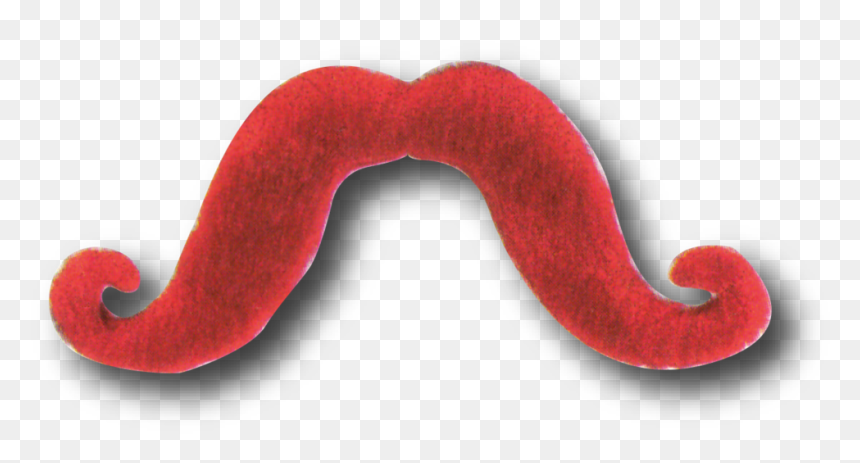 Illustration, HD Png Download - bigote png