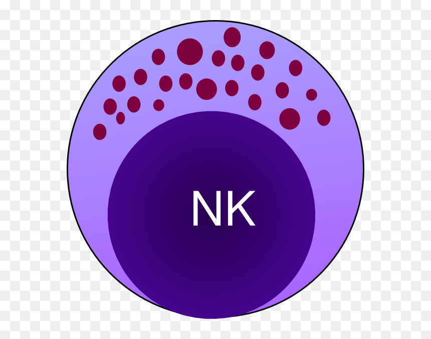 Thumb Image - Natural Killer Cells Drawing, HD Png Download - cells png