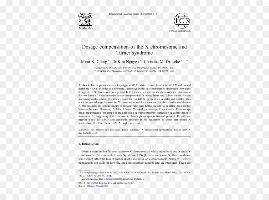 Document, HD Png Download - chromosome png