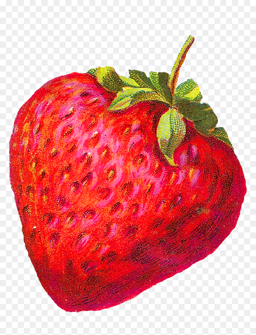 Clipart Vintage Strawberry, HD Png Download - berry png