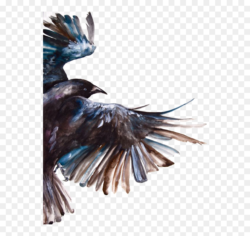 Clipart Freeuse Download Common Raven Bird Painting - Watercolor Crow, HD Png Download - crows png