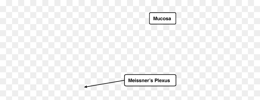 Slope, HD Png Download - plexus png