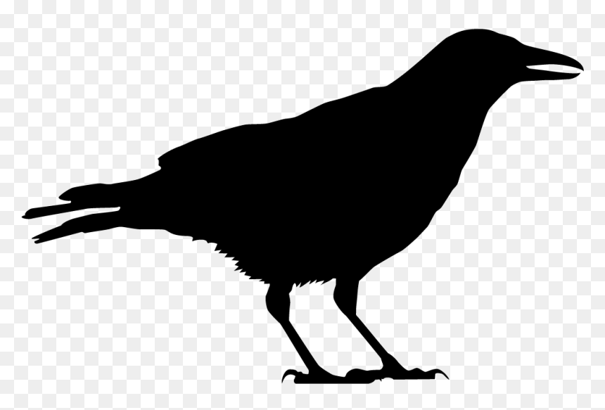 Raven Black And White, HD Png Download - crows png