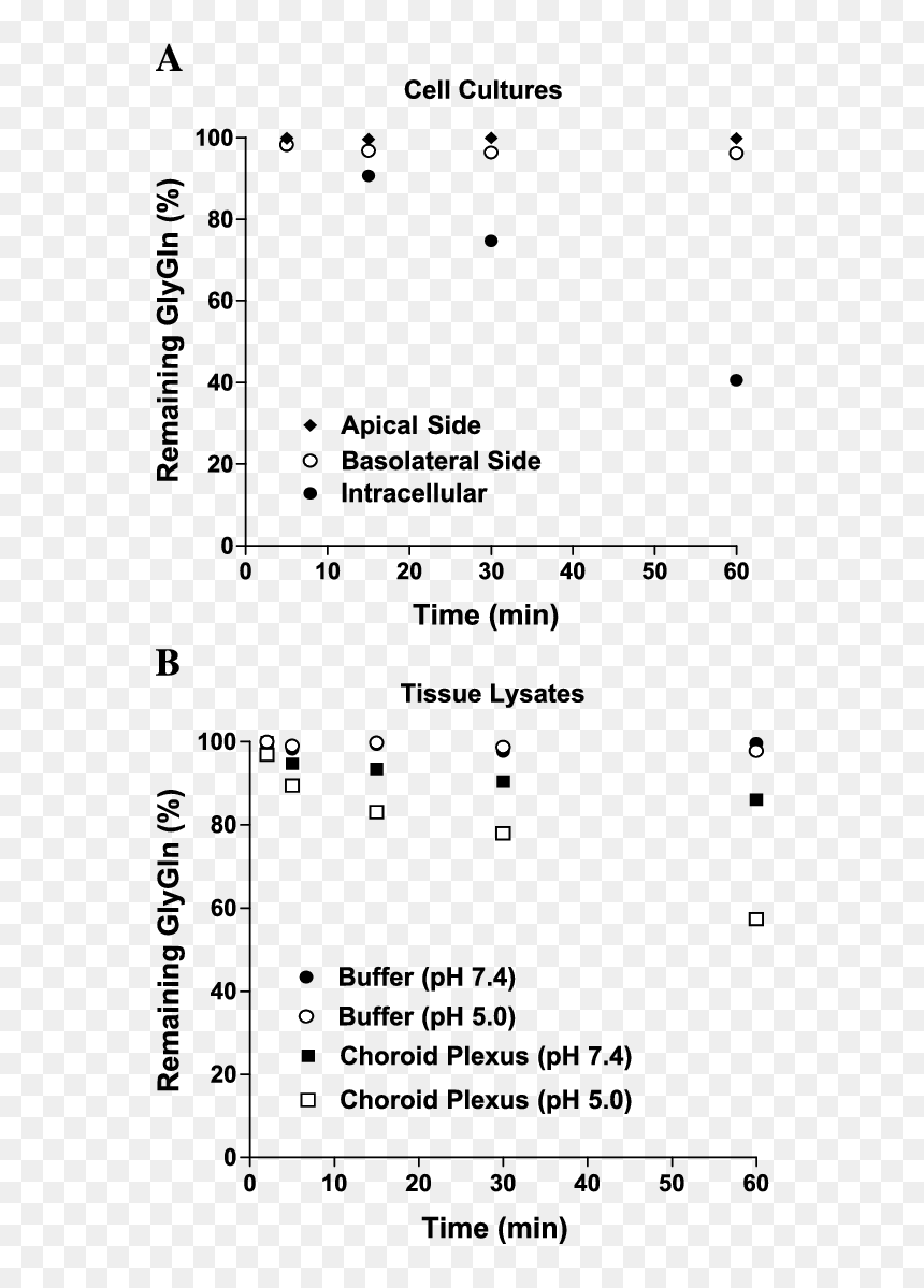 Document, HD Png Download - plexus png