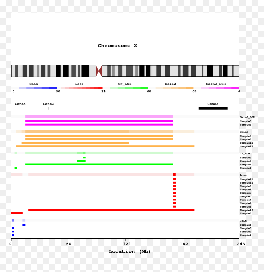 Diagram, HD Png Download - chromosome png