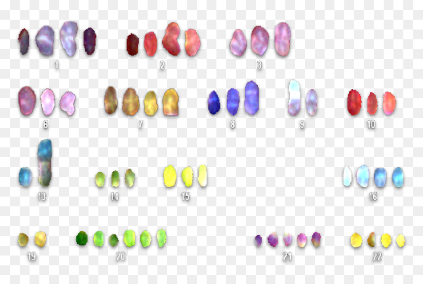 Chromatids Showing Cohesion Deficits - Crystal, HD Png Download - chromosome png