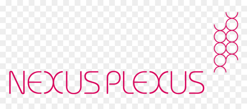 Nexus Plexus Work-02 - Oval, HD Png Download - plexus png