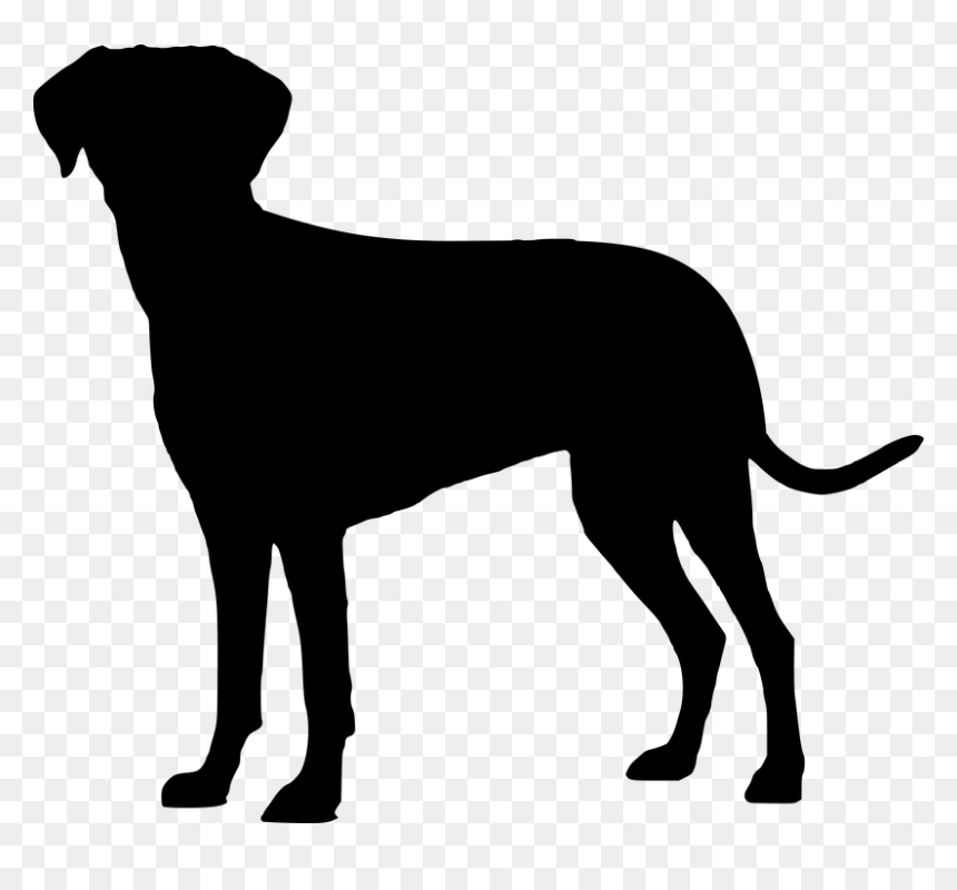 Labrador Retriever Funny Quotes, HD Png Download - pet png