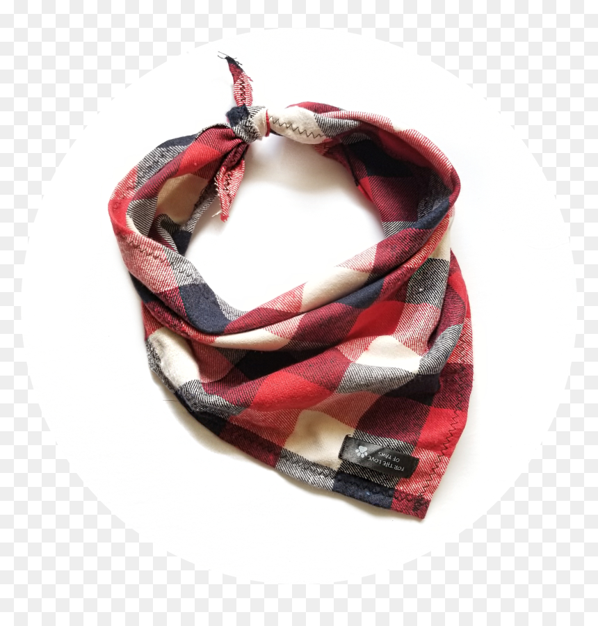 Scarf, HD Png Download - blue bandana png