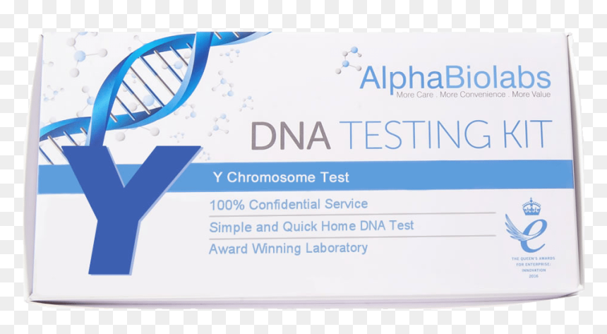 Y Chromosome Test, HD Png Download - chromosome png