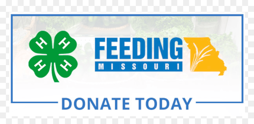 Graphic Design, HD Png Download - missouri png