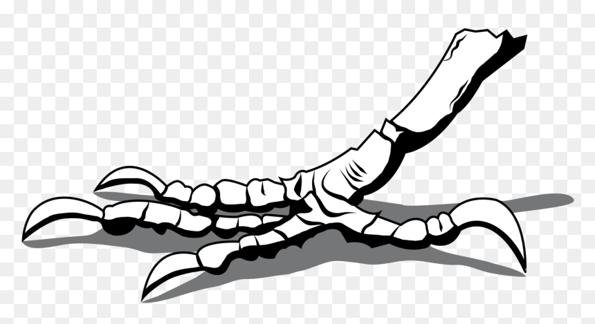 Reptile,art,monochrome Photography - Crow Leg Clipart, HD Png Download - crows png