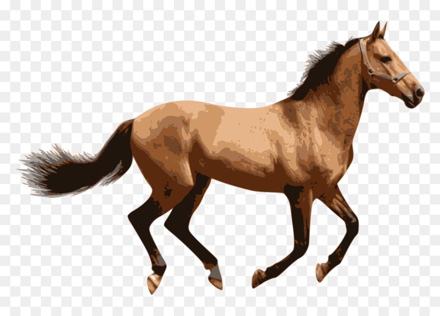 Thumb Image - Horse Png, Transparent Png - caballo png