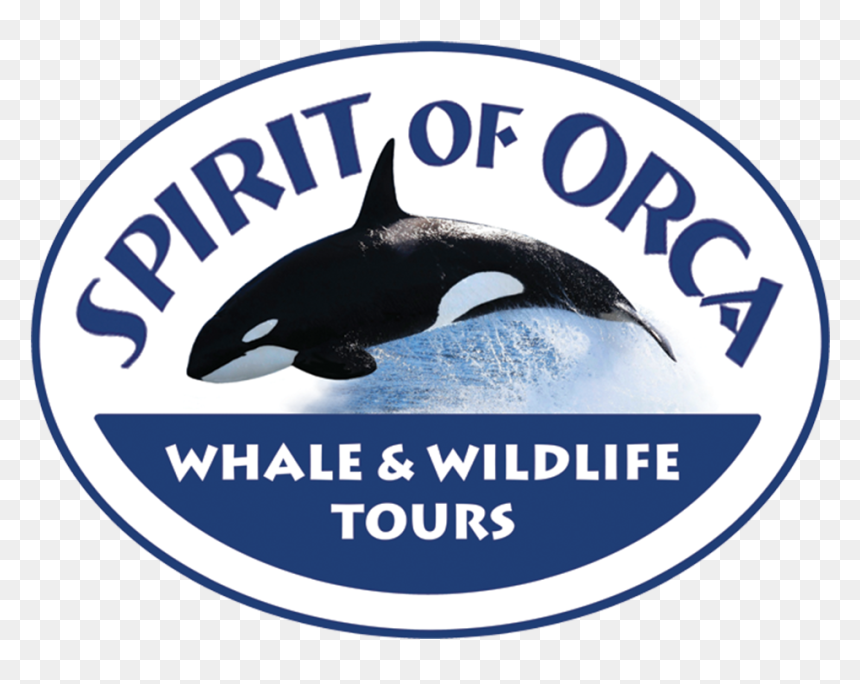 Spirit Of Orca , Png Download - Killer Whale, Transparent Png - orca png