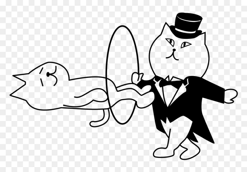 Magic, HD Png Download - magician png