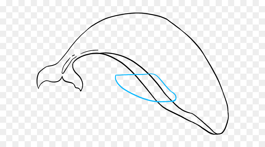 Sketch, HD Png Download - orca png