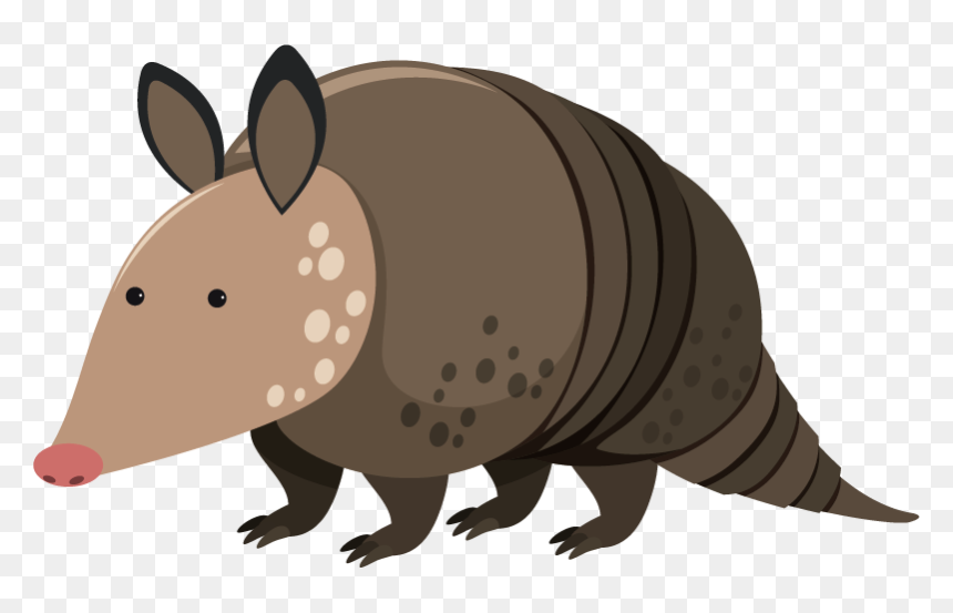 Kids Armadillo Wall Sticker - Armadillo Vector, HD Png Download - armadillo png
