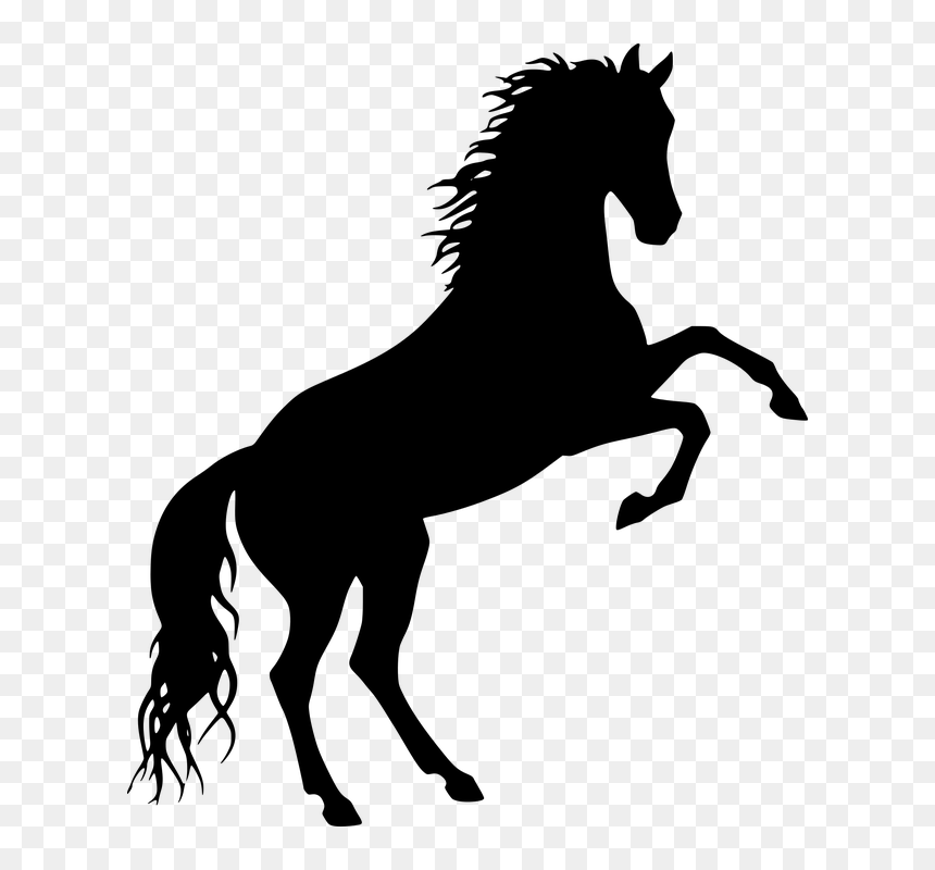 Horse Silhouette, HD Png Download - caballo png