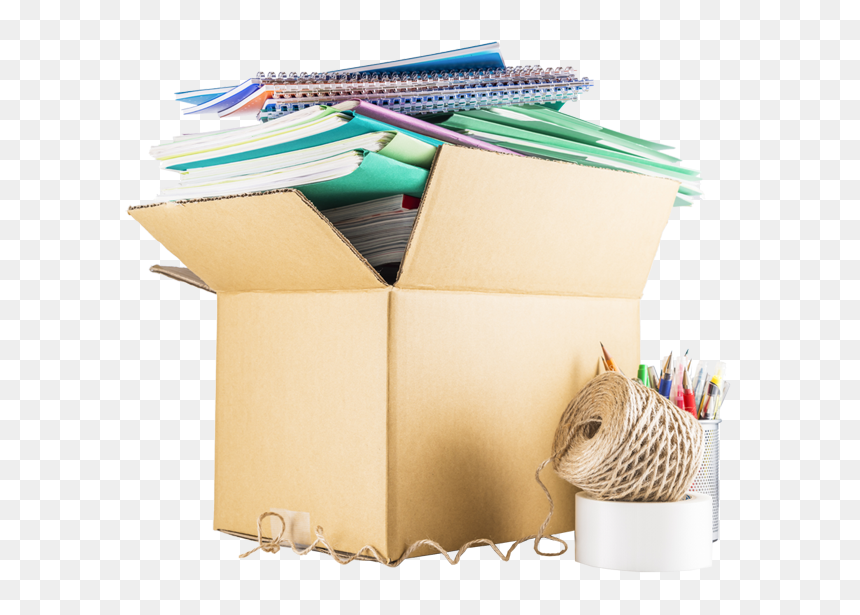 Armadillo , Png Download - Box, Transparent Png - armadillo png