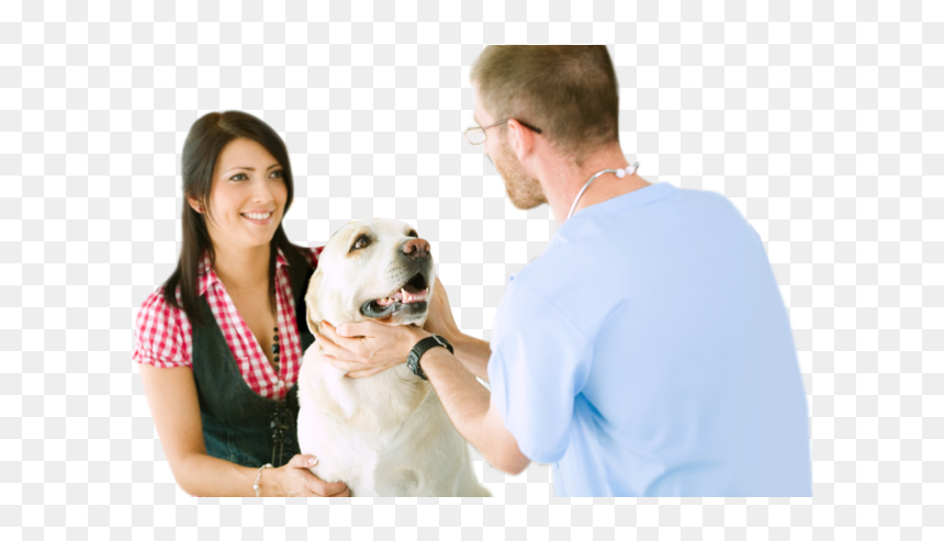 Home-image2, HD Png Download - pet png