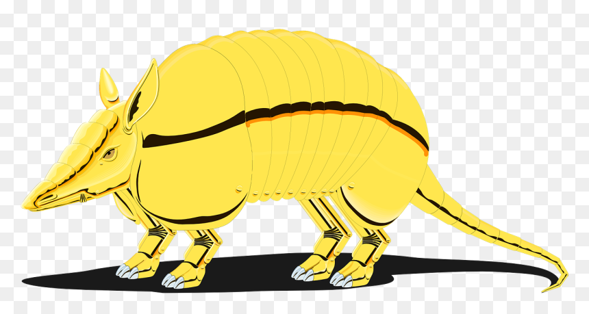 Armadillo Png Clip Art, Transparent Png - armadillo png