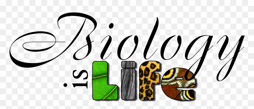 Biology Project Cover Page, HD Png Download - biology png