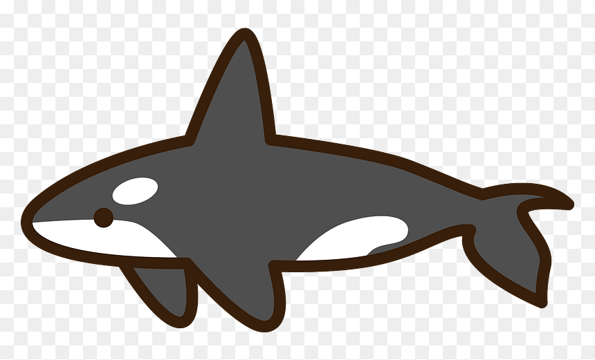 Killer Whale Orca Clipart, HD Png Download - orca png
