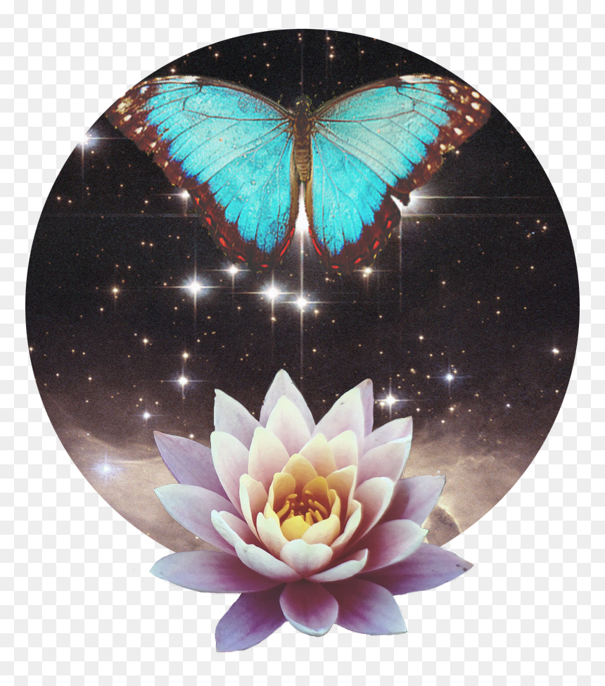 Awakenbreath Icon - Sacred Lotus, HD Png Download - breath png