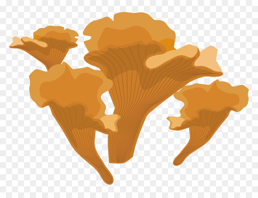 Silhouette,tree,fungus - Fungus Clipart, HD Png Download - mold png