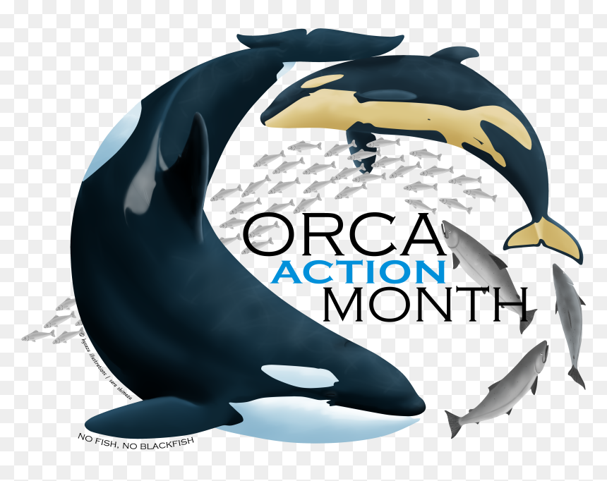 Killer Whale, HD Png Download - orca png