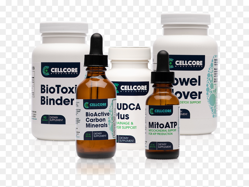 Phase 1 Product Img 702a6886 4a51 4256 8001 4ae7a04636eb - Health, HD Png Download - mold png