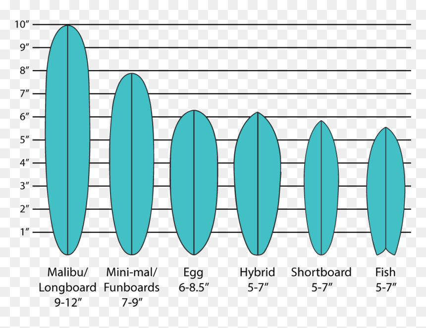 Types Of Surfboards, HD Png Download - surf board png