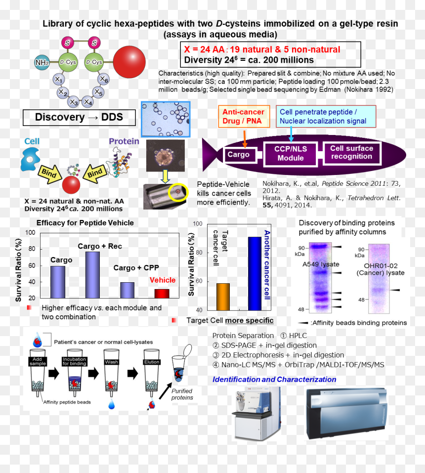 For Practical Use Patient Cancer Cells Were Obtained - Ltq Orbitrap Xl, HD Png Download - cells png