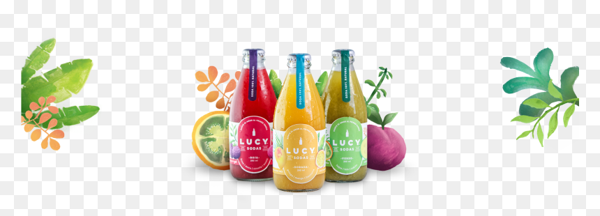 Sodas 100% Naturales 100% Colombianas - Glass Bottle, HD Png Download - sodas png