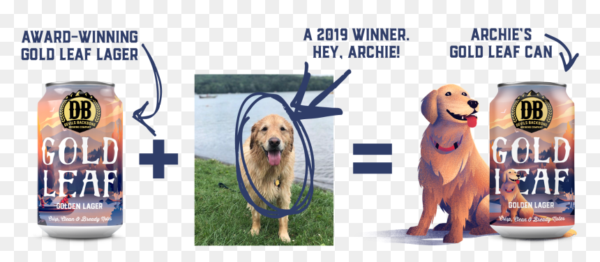Golden Retriever, HD Png Download - pet png