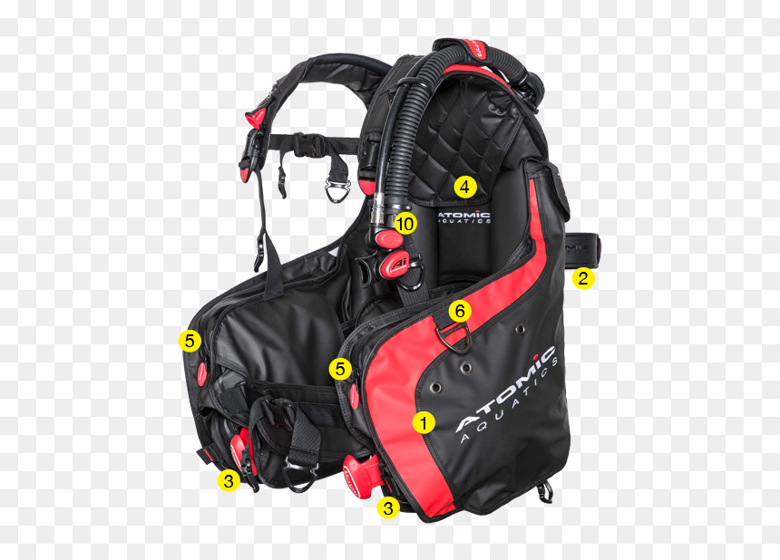 Atomic Aquatic Bcd, HD Png Download - mlg frog png