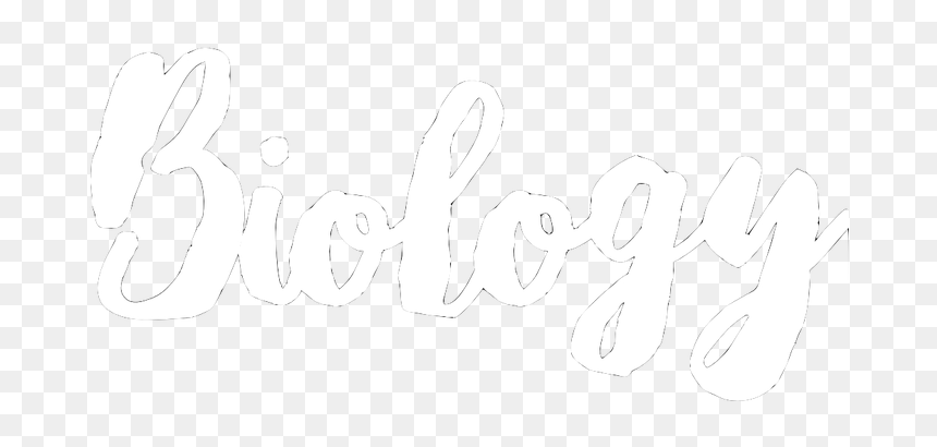 Picture - Calligraphy, HD Png Download - biology png