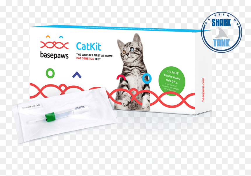 Cat Dna Test, HD Png Download - felix the cat png